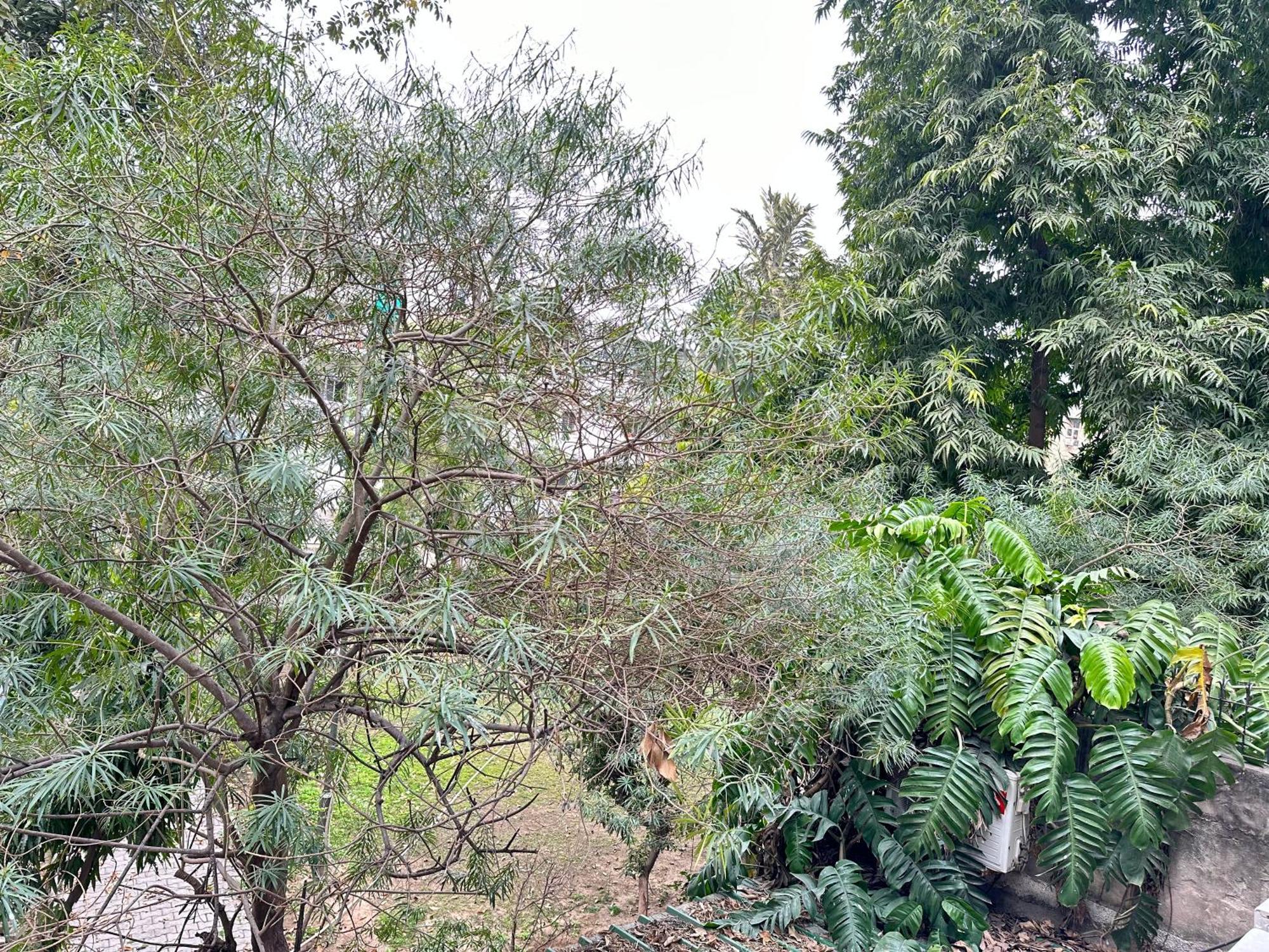Grove Residency Hauz Khas New Delhi Couple Friendly Ξενοδοχείο Εξωτερικό φωτογραφία